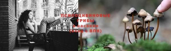 круглые Абаза